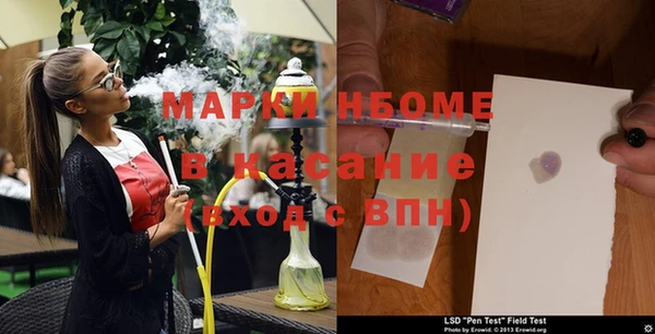 прущие грибы Заводоуковск