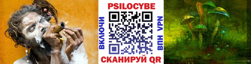 blacksprut зеркало Копейск Галлюциногенные грибы GOLDEN TEACHER